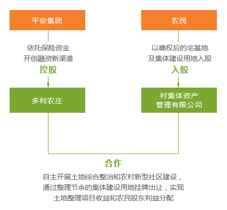 新澳门今晚必开一肖一特，现状分析、解释与落实