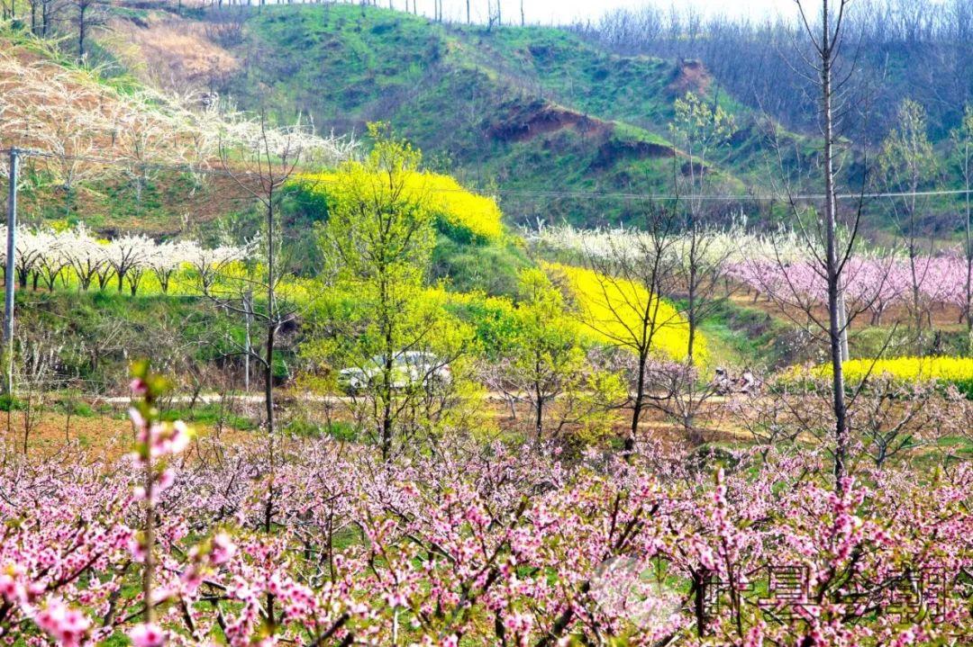 叶县最新招聘信息，开启职业发展的新篇章