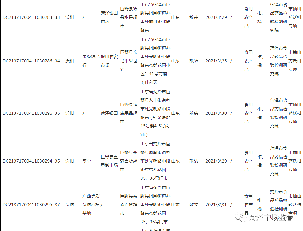 第二机场最新消息，建设进展与未来展望