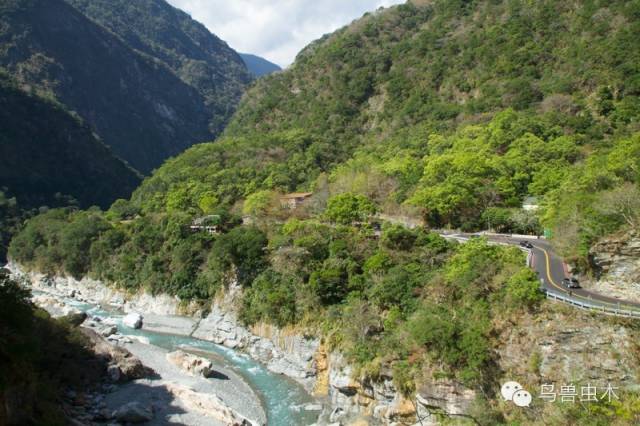 折多山最新路况，探索高山之巅的旅行指南