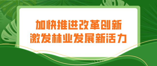 林业改革最新消息，推动绿色发展的创新路径