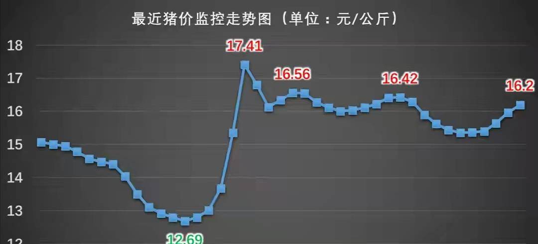 猪价走势最新消息，市场波动背后的深层原因与未来预测