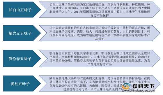 五味子最新价格，市场趋势、影响因素及未来展望